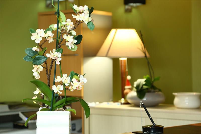 רונגיס Hotel Restaurant Maison Blanche מראה חיצוני תמונה