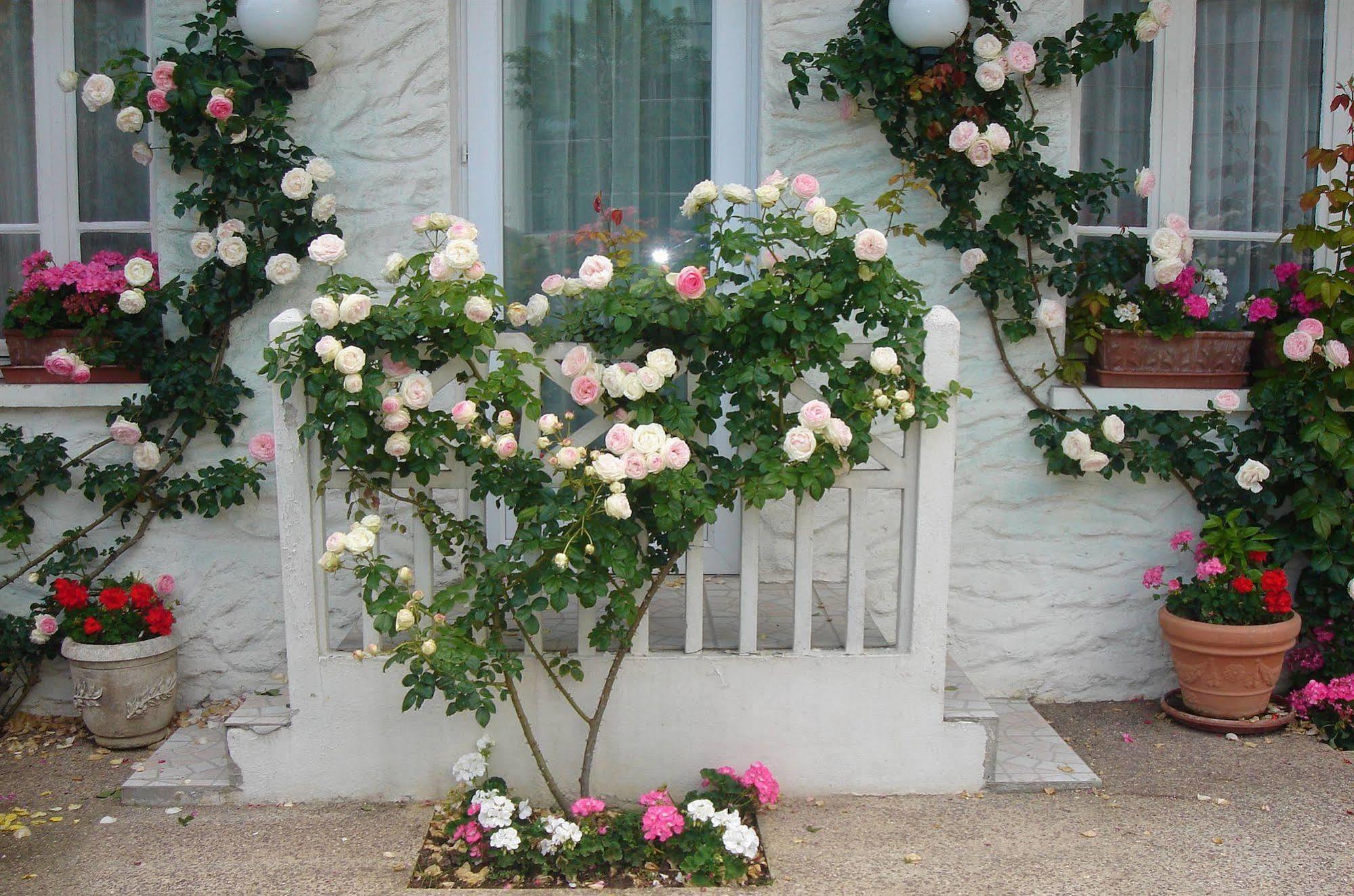 רונגיס Hotel Restaurant Maison Blanche מראה חיצוני תמונה
