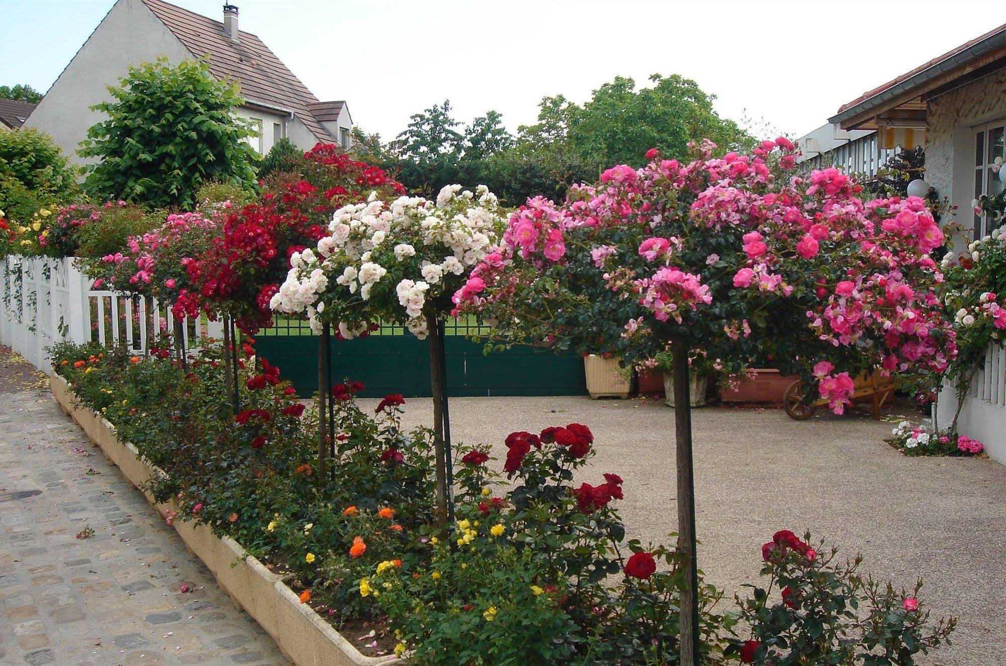 רונגיס Hotel Restaurant Maison Blanche מראה חיצוני תמונה